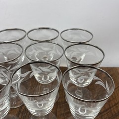 VTG Set of 5 Etched Laurel Leaf Aperitif Glasses Clear w/Silver Rims France 5”