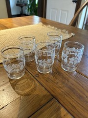 Bartlett Collin’s Frosted Fruit Glasses glasses