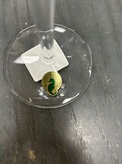 waterford elberon goblet