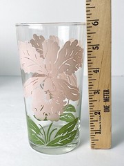 Vintage Swanky Swig Glass Tumbler Pink Green Iris Flower MCM 16oz Glasses Set 4
