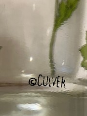 6 Signed CULVER Tumblers 1960/1970’s Poppies And Other Flowers 6-1/4” 14 Oz MCM