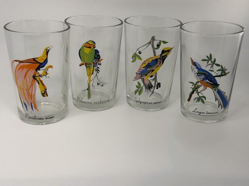 Vintage Bird Glasses Set of 4 Scientific Name Tumblers 4 Inch Wildlife Print