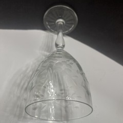 Standard Glass SGM1 Floral Crystal Water Goblet 10 oz