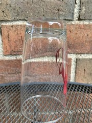 7 VTG Art Deco MCM Barware Prancing Horse Drinking Glasses Highball Pilsner