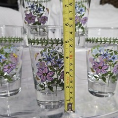 5 pc Portmeirion Botanic Gardens Clematis Florida Highball Tumblers
