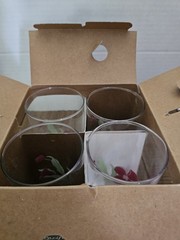 Corelle Pacific Bloom 16 Oz. Cooler Glasses Weighted Bottom Set Of 4 NIB