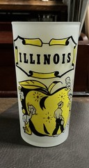 Vintage Hazel Atlas Frosted Illinois State Drinking Glass 5 inch Tall