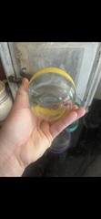 Vintage Roly Poly Libbey Sociables Set Of 5 Glasses