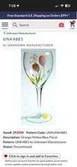 Dorothy Thorpe Hand Painted Poppy & Daffodil Spring Flowers Floral Glasses (5)