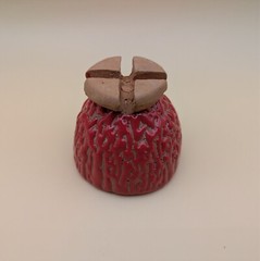 sake cup　”GUINOMI　HAGI-YAKI” 　vermilion,red 01
