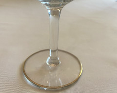 Vtg Champagne Glass W/Gold Trim on Rim & Outline of Base & Lace/Plant Etch Lt 2
