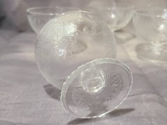 🌿 Vintage Etched Glass Sherbet & Champagne Coupe Set – 15 Pcs – Elegant Floral