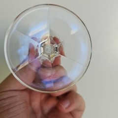 Johann Haviland Bavaria Sweetheart Rose Platinum Rim Wine Glass