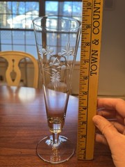 Vintage Arcadia Crystal Orlean MCM Etched Pilsner Beer Glass