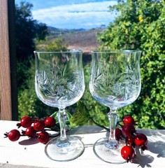 Etched Star Pinwheel Cut Crystal Liszt Water Goblets by Kristal Zajecar Set of 2