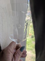 Set of 2 Etched Floral & Leaf designs Crystal Wine Glasses