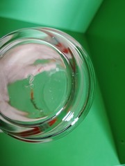 Vintage Libby Set of 10 Clear Tumbler Glasses Red Green Floral Christmas Decor