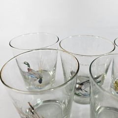Vtg ORVIS Ned Smith Lot of 8 Glasses Set Ducks Hunting Man Cave Whiskey Cups