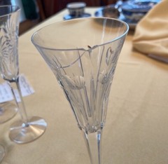 Waterford 68362305 Toasting Flutes – Clear Set Of 12 With Bottle Coaster
