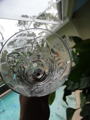 Rock Sharpe Clear Crystal Polish Cut 3006-9 Water Goblet Arch Flowers Cut Foot