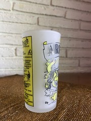 Vintage Arizona Glass White Frosted Souvenir Glass “Chip”