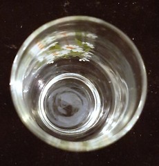 VINTAGE DAISY Juice Glass MCM