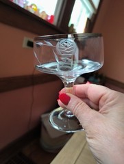 3 Vintage Forest West Germany Rose Etched Crystal Champagne Coupes – Silver Rim