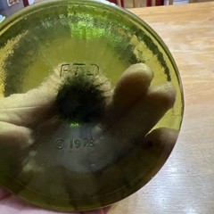 Vintage 70s FTD Avocado Green Glass Goblet With Embossed Leaf Design