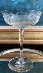 Tall Champagne Coupe • Gryphons & Spiderwebs • 1920s • Mythical & Magical •RARE