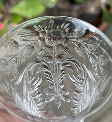 Hawkes Cut Glass Rock Crystal Rose Pattern Sherry or Cordial Amazing Cutting ￼