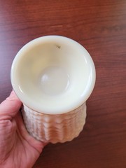 Nice Northwood Custard Glass Nautilus (Argonaut Shell) Hand Painted Sugar