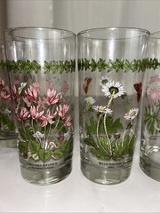 Set of 6 Portmeirion Botanic Garden Highball Glasses 16oz- Variety Of Designs