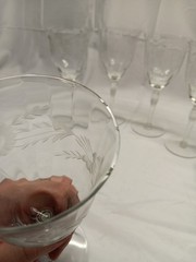 Set Of 10 Clear Glass Stemmed Wine Goblet, Etched Floral Leaf Pattern