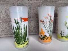 Vintage Arizona Cactus Frosted Glasses Set of 8 Tumblers w Metal Carrier MCM