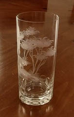 Queen Lace Crystal Kenyan African Lion 5.5″ Highball Tumbler Glass