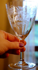 Vtg Set 10 CENTRAL GLASS WORKS Needle Etched Optic PASSIONFLOWER Water Goblets