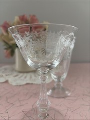 2 Pcs Fostoria Crystal CORSAGE Glass Goblet Etched Tea Goblet & Champagne Coupe