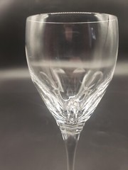 Vintage Noritake Winter Park Water Goblet 8.5 Inches Tall