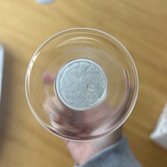 Rosenthal Snowflower Wine Glass / Cocktail Confetti Crystal 6.75”
