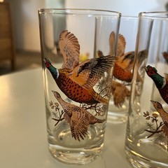 Vintage WEST VIRGINA Pheasants in Flight Tumbler Glasses Set of 8- 5.5″