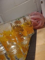 Vintage Federal Glass Clear Flat Tumbler Daisy Floral Yellow/White/Orange X11