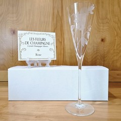 Franklin Mint Les Fleurs de Champagne Crystal Glass Set 12 w/ Cards COA Complete