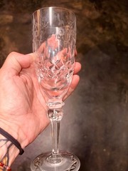 rogaska gallia crystal set of 12 of 10 different stemware