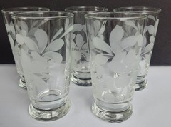 Vintage Lot of 5 Libbey Etched Flower Pattern Plumeria Glasses Hawaii Tropical