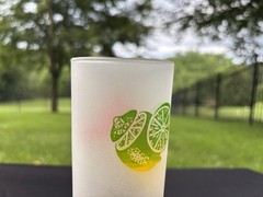 Retro Set of 4 Federal Frosted Fruit 6 3/4″ Tom Collins/Zombie Glasses VGUC