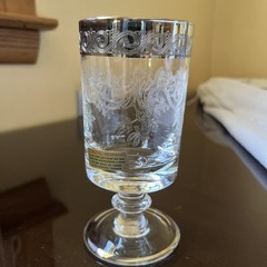 Vintage Medici Cristal Marino Footed Platinum Edge Etched Glass Wine Drinking