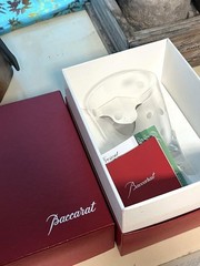 Baccarat Crown Tumbler Glass with Polka Dot Pattern Crystal Clear From Japan