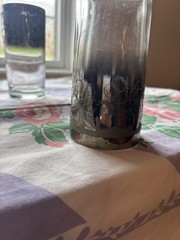 Vintage Dorothy Thorpe Silver Fade Highball Glasses —Set of 6 etched floral