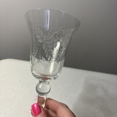 3 Vintage Danube Floral Leaf Wine Glasses
