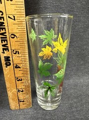 Vintage Autumn Maple Leaf Tall Tumbler 6 7/8” Glass MCM Salem China